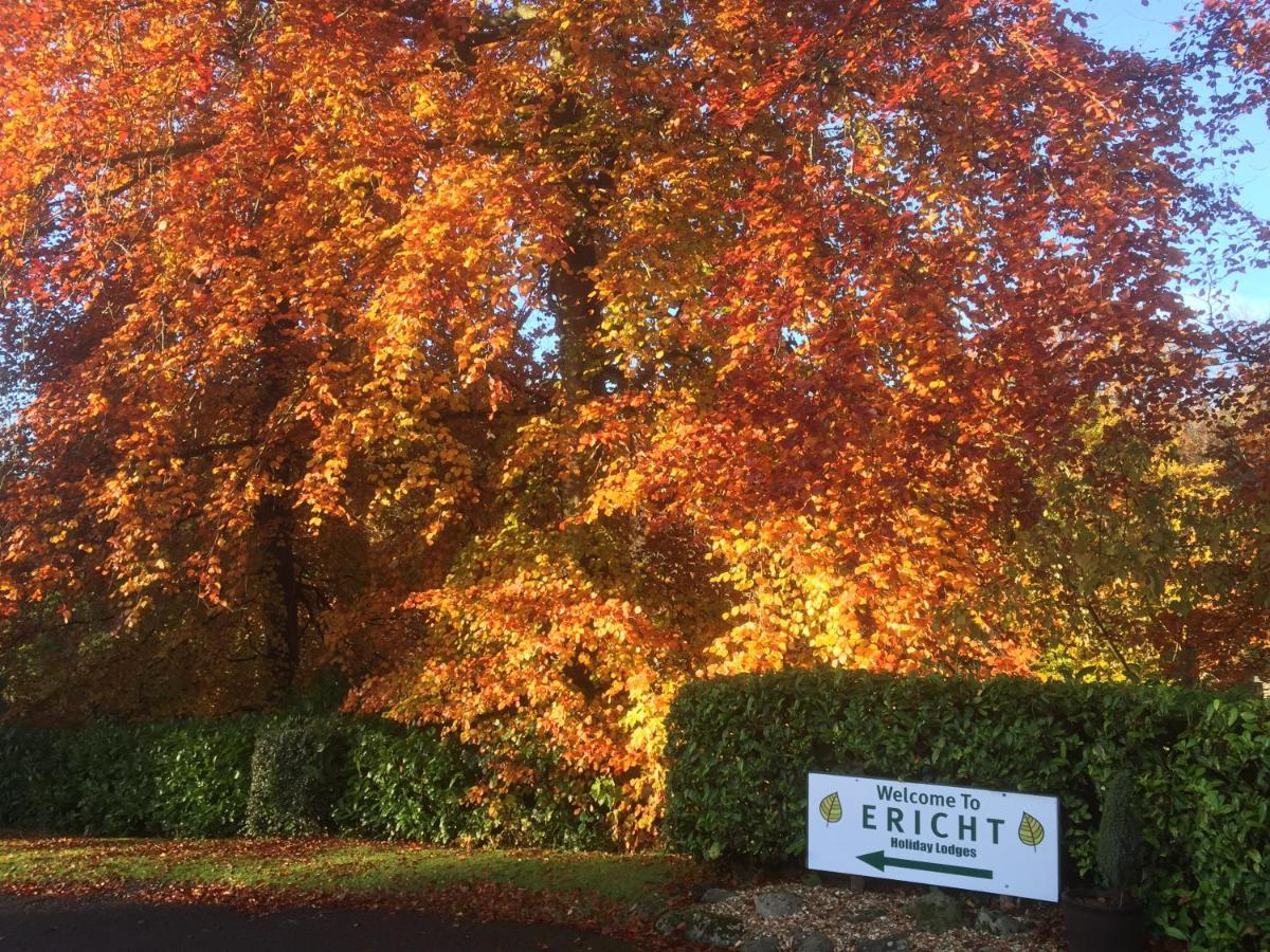 Ericht Holiday Lodges Blairgowrie and Rattray Экстерьер фото