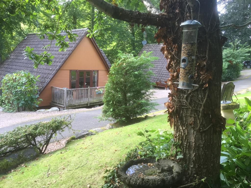Ericht Holiday Lodges Blairgowrie and Rattray Экстерьер фото